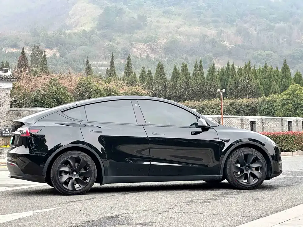 Tesla Model Y — фото 10