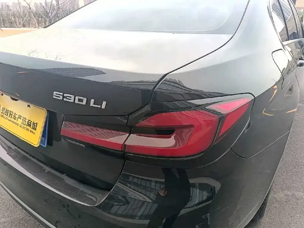 BMW 5 Series 2023 из CN, фото 3