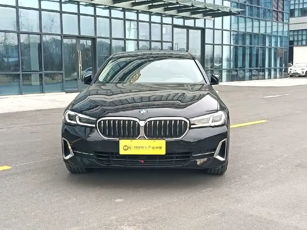 BMW 5 Series 2023 из CN, фото 7