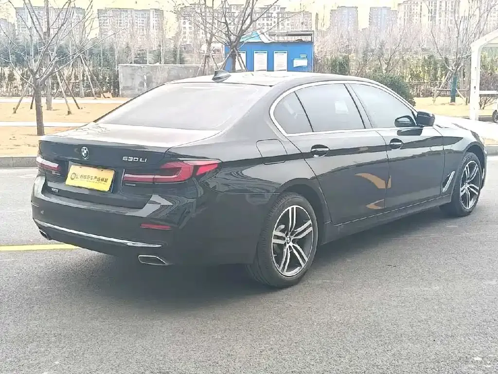BMW 5 Series 2023 из CN, фото 9