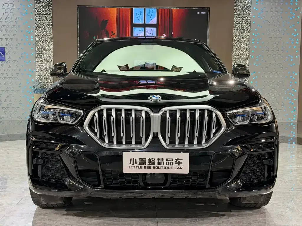 BMW X6 2022 из CN, фото 10