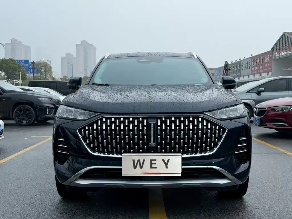 Wey Mocha New Energy 2022 из CN, фото 6