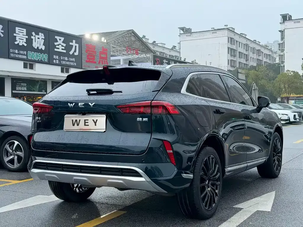 Wey Mocha New Energy 2022 из CN, фото 8