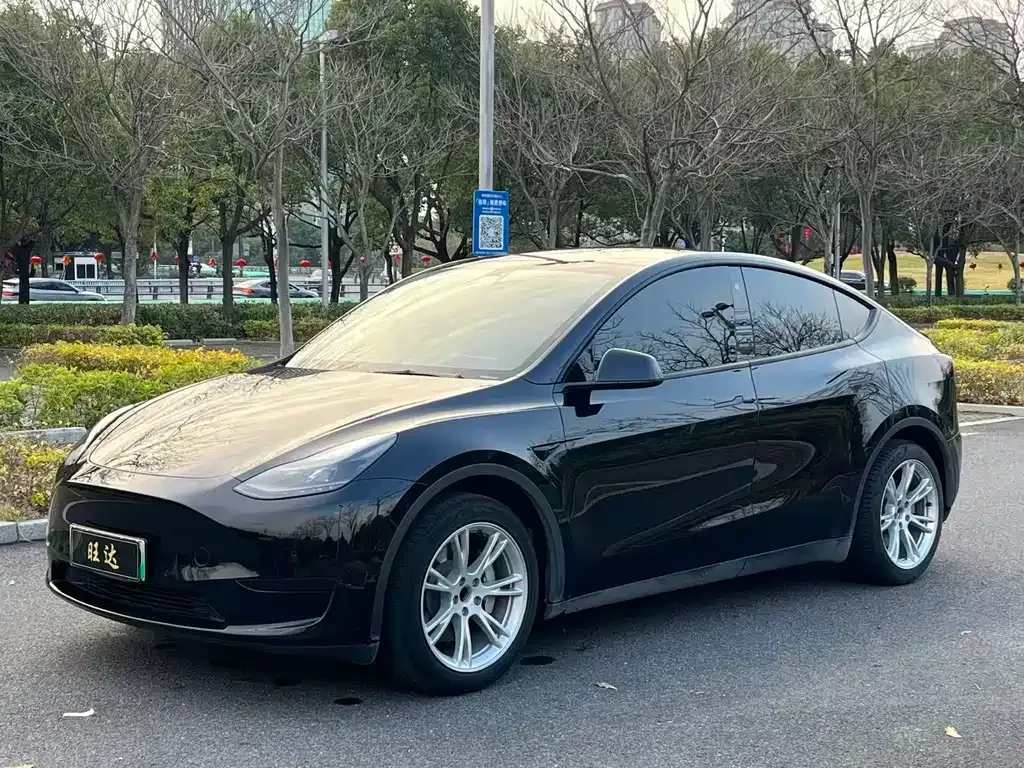 Tesla Model Y — фото 1