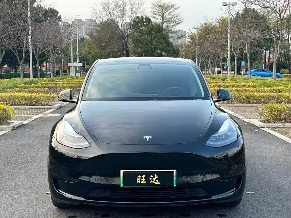 Tesla Model Y — фото 9