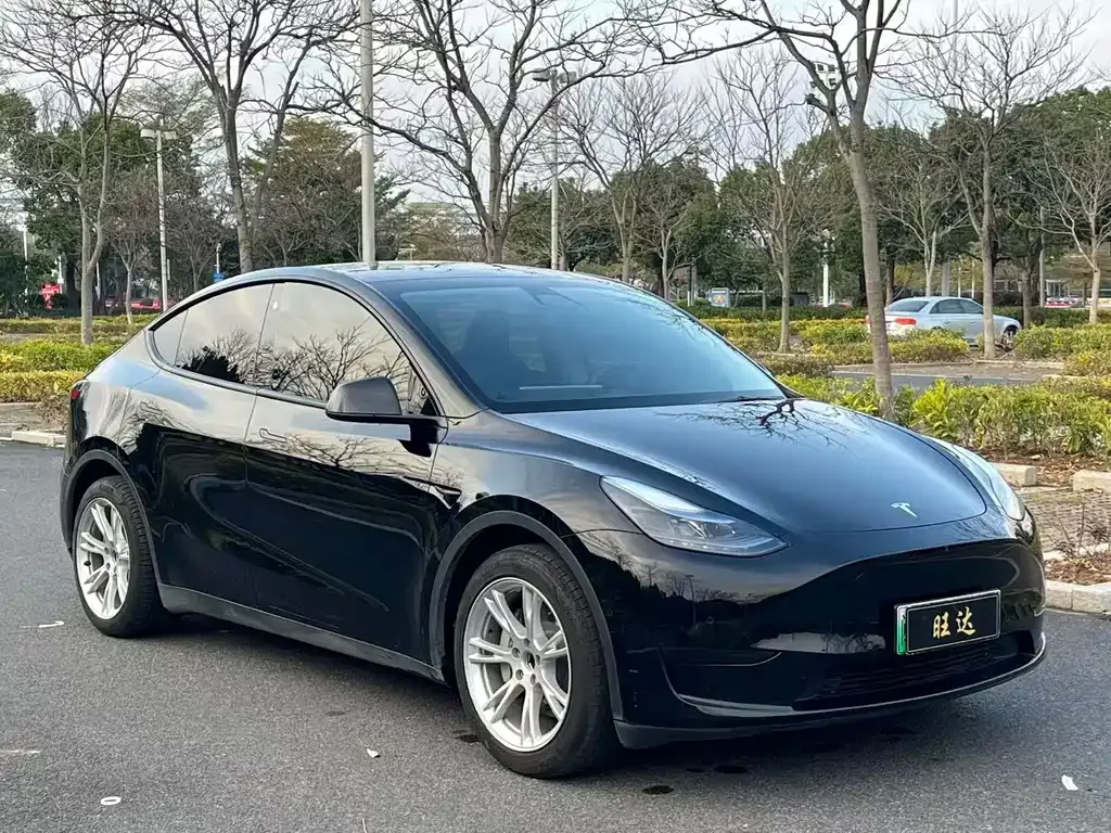 Tesla Model Y — фото 5