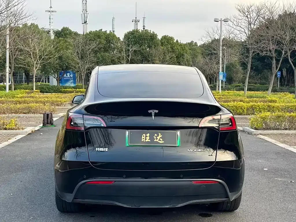 Tesla Model Y — фото 8