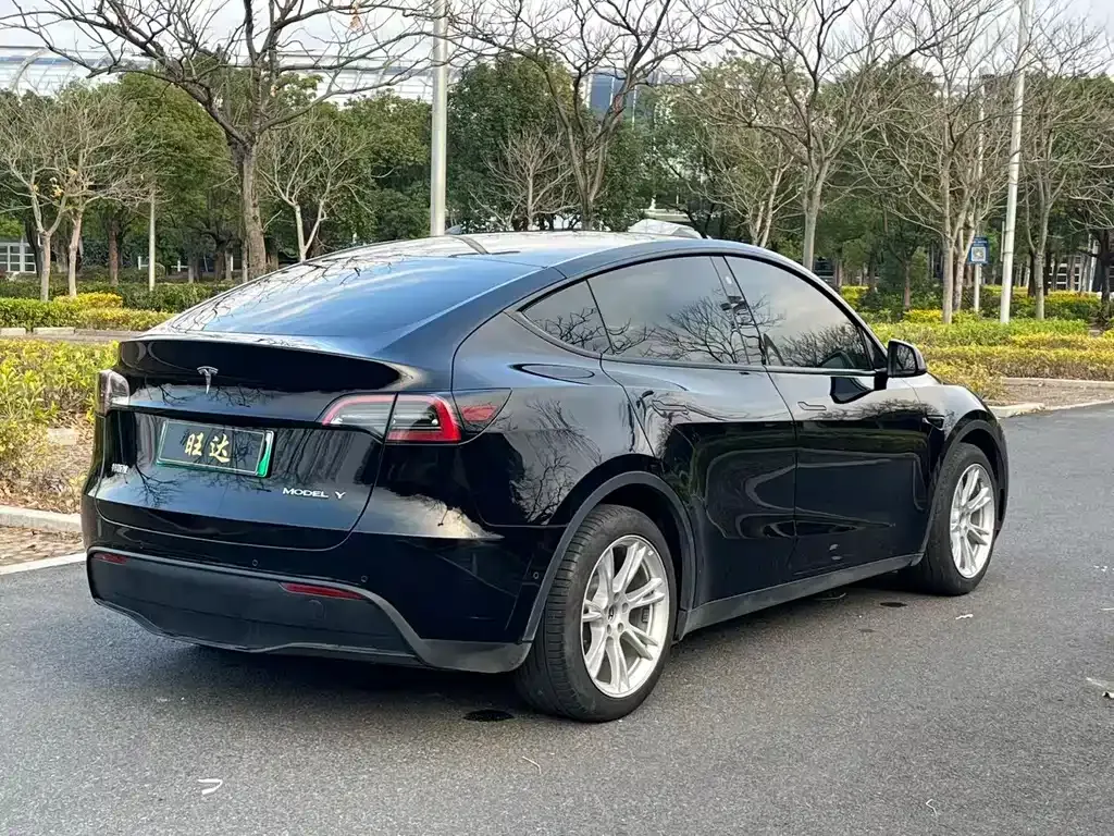 Tesla Model Y — фото 10