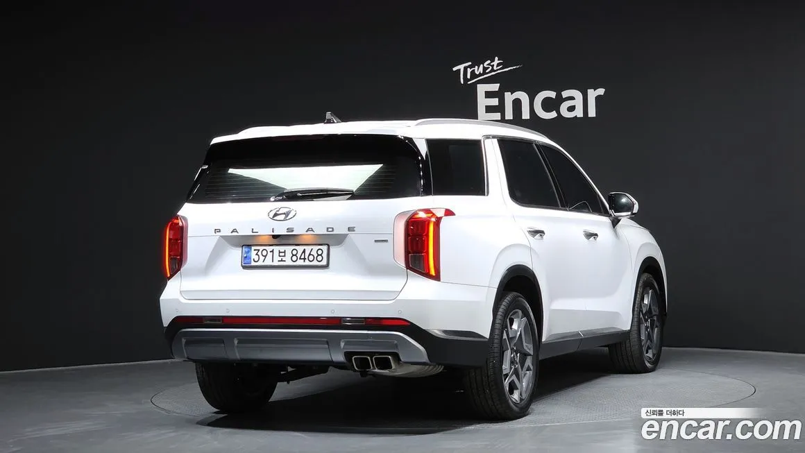 Hyundai Palisade — фото 9