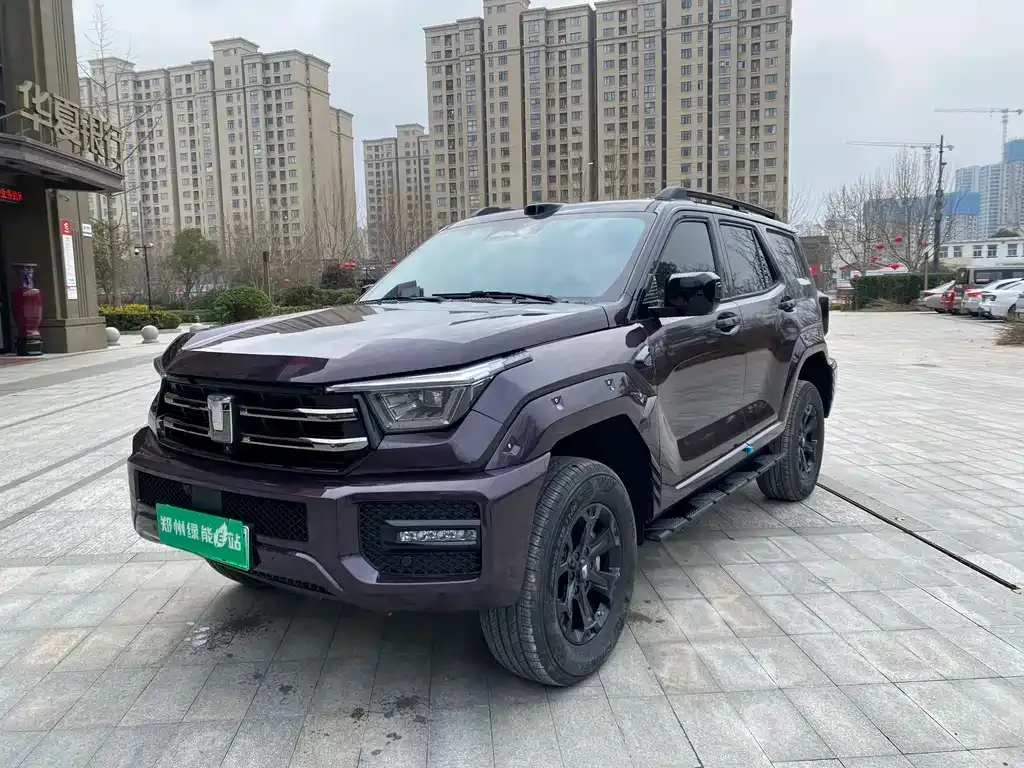 Tank 400 New Energy 2025 из CN, фото 1