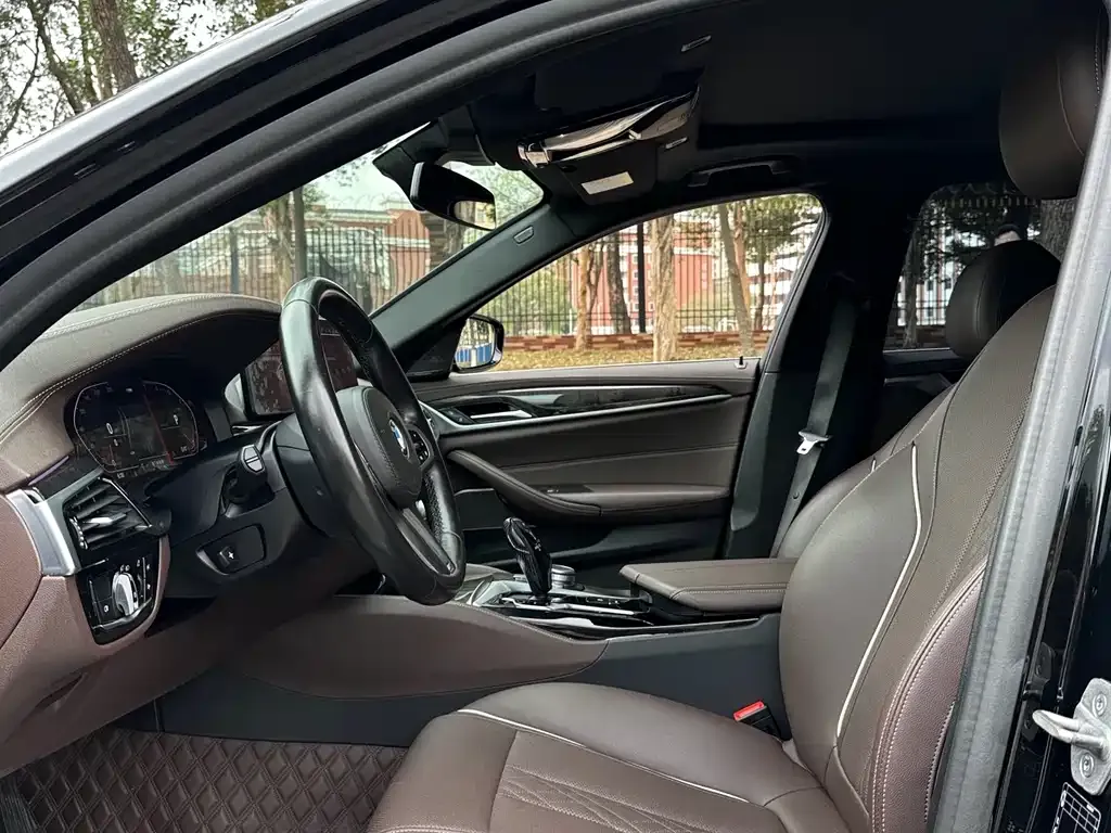 BMW 5 Series 2021 из CN, фото 4