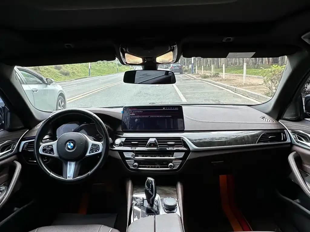 BMW 5 Series 2021 из CN, фото 3
