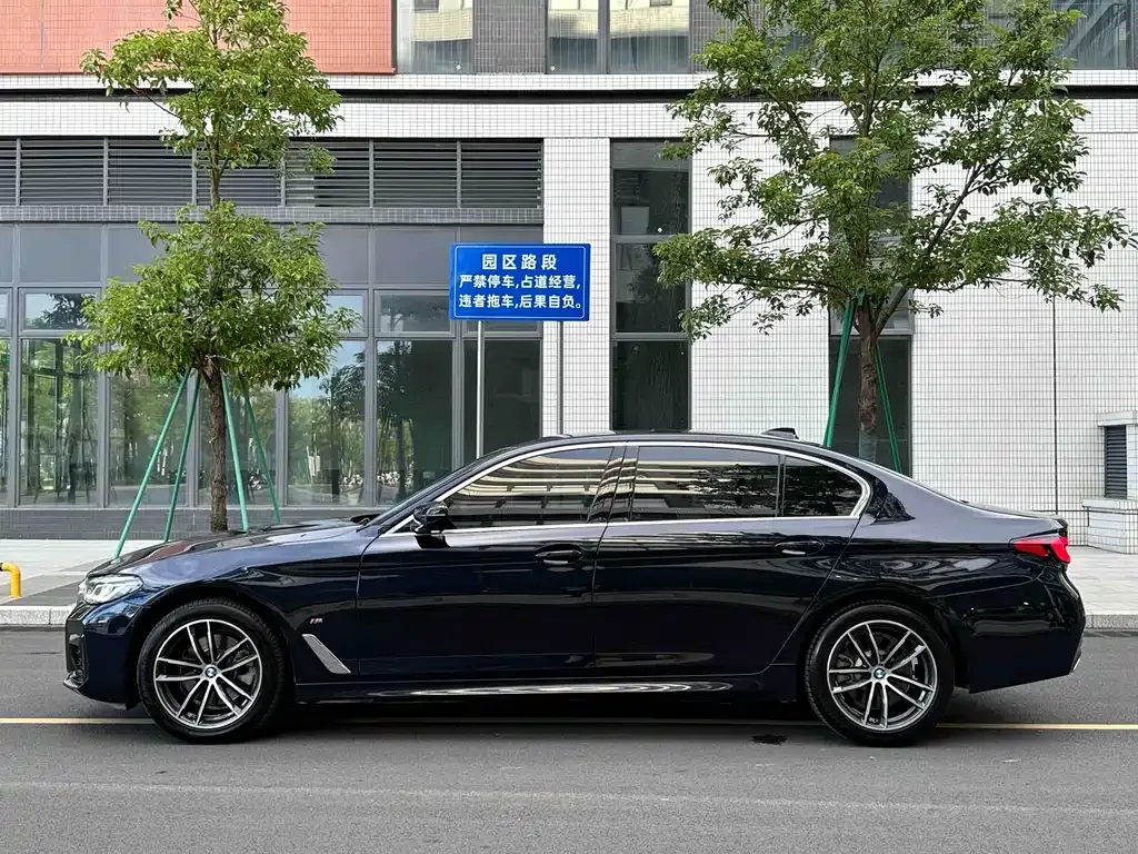 BMW 5 Series 2021 из CN, фото 6