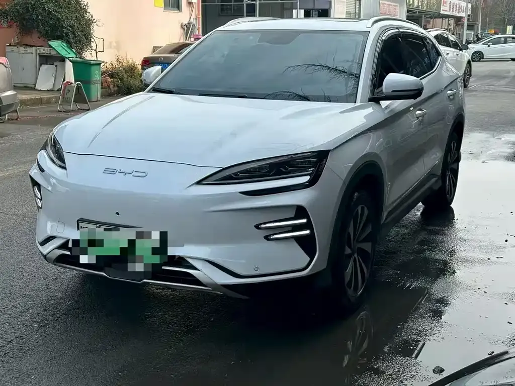 BYD PLUS New Energy — фото 1