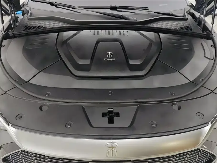 BYD PLUS New Energy — фото 10