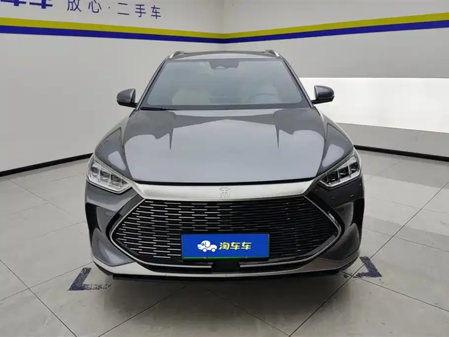 BYD PLUS New Energy — фото 2