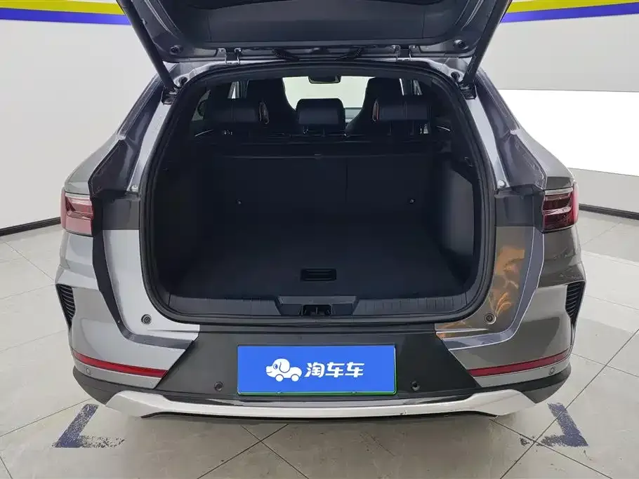BYD PLUS New Energy — фото 9