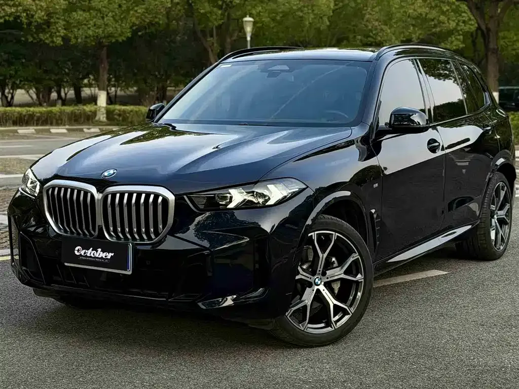 BMW X5 — фото 1