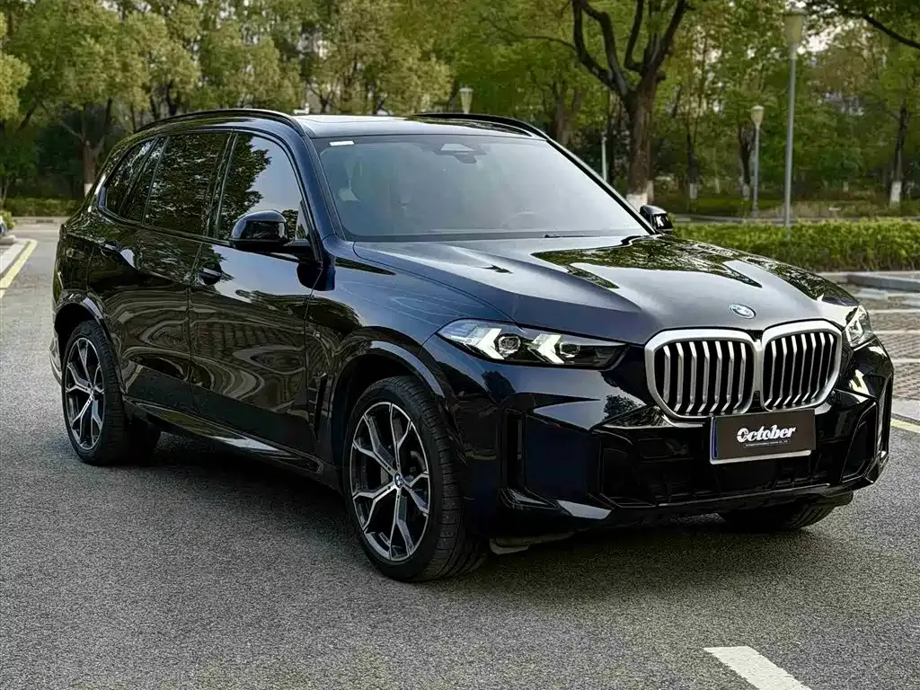 BMW X5 — фото 7