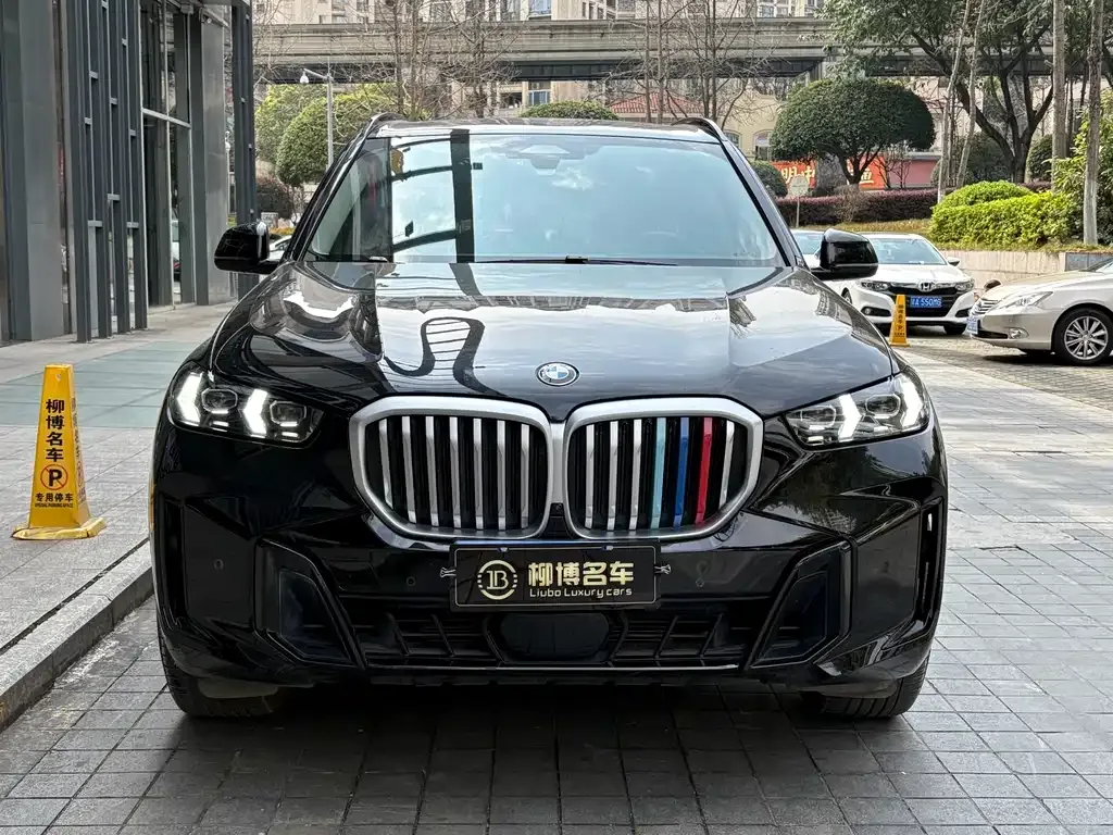 BMW X5 — фото 10