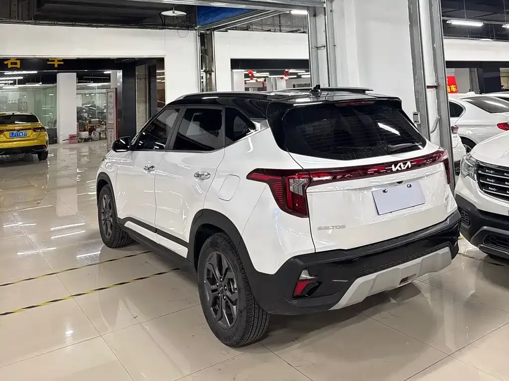 Kia Seltos 2024 из CN, фото 5