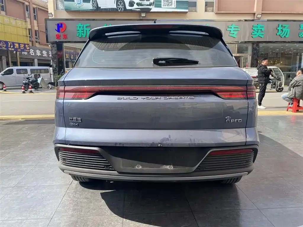 BYD Pro New Energy — фото 7