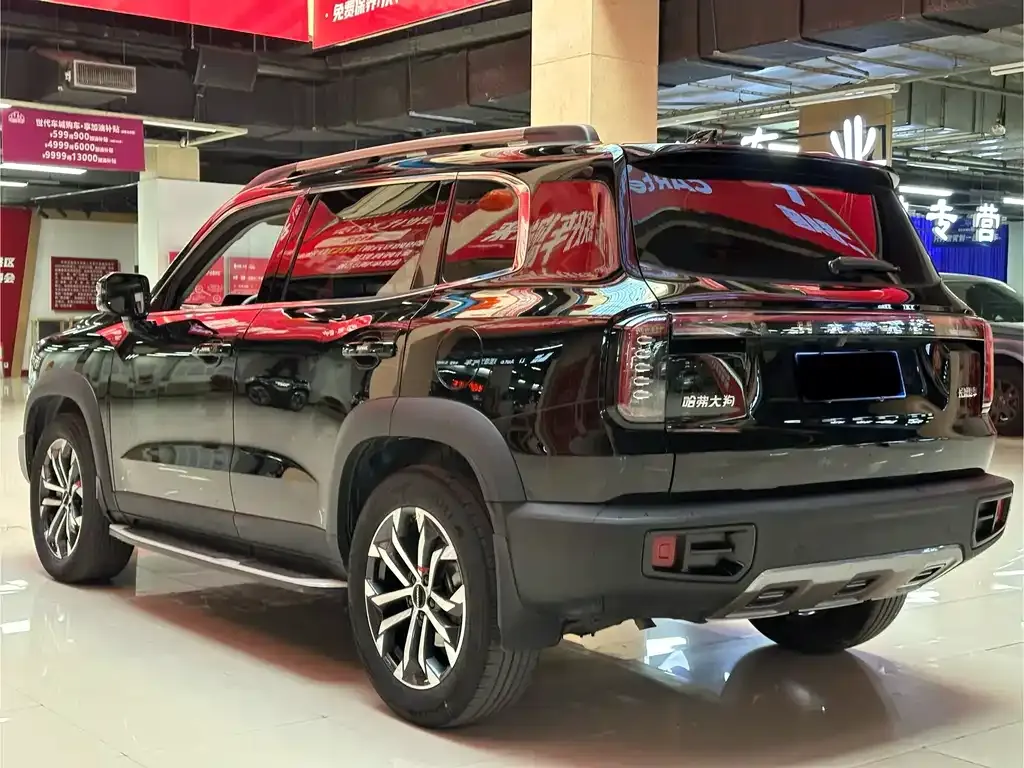 Haval Big Dog — фото 7