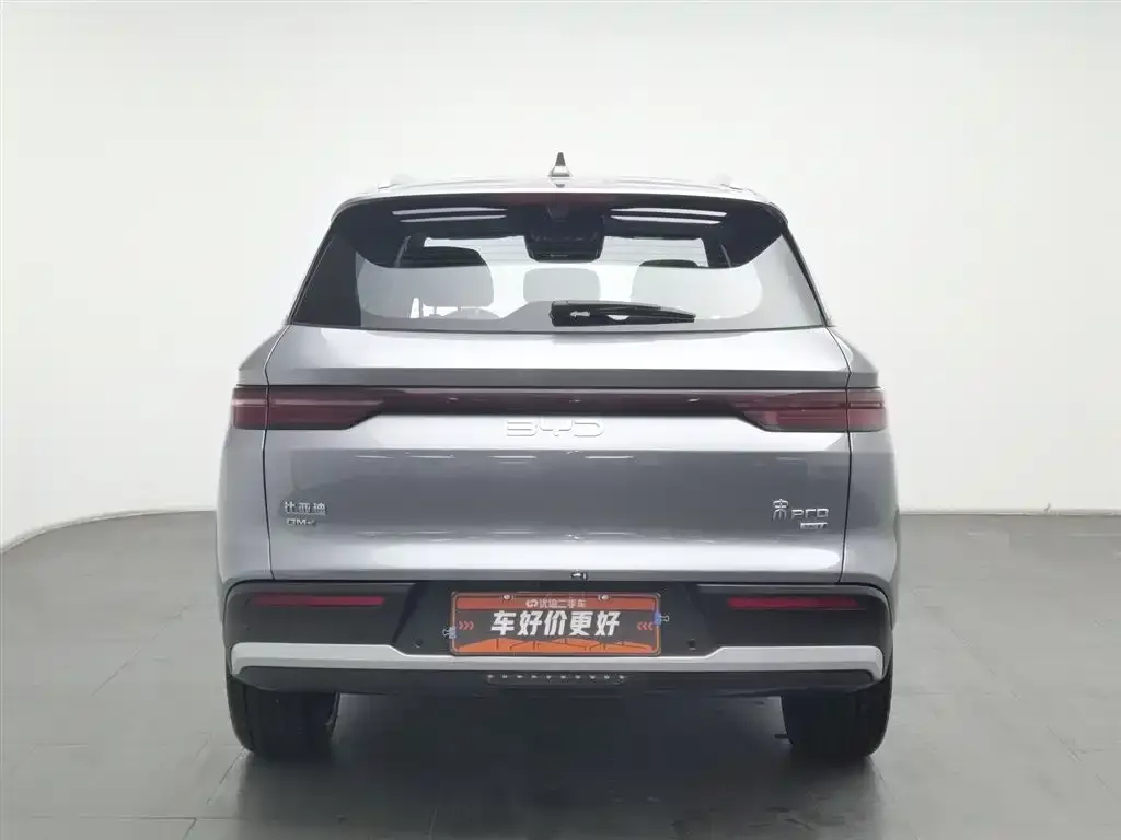 BYD Pro New Energy — фото 6