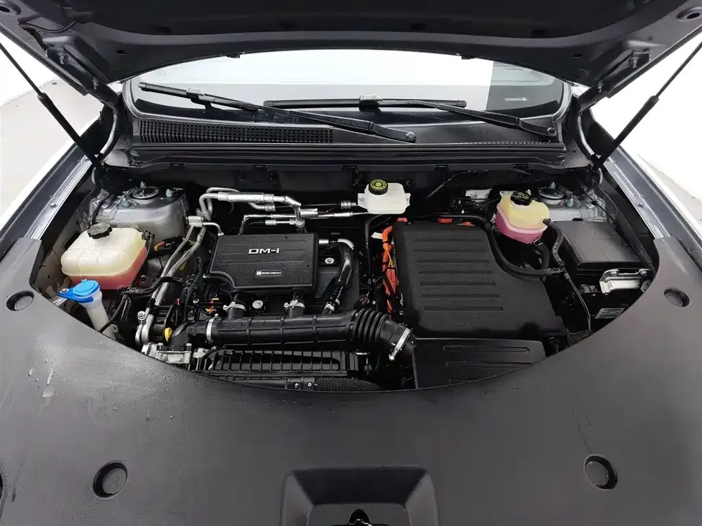 BYD Pro New Energy — фото 10