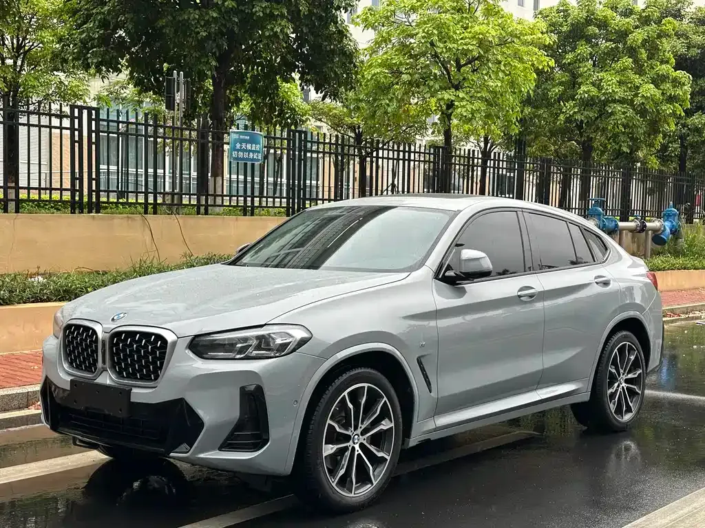 BMW X4 2023 из CN, фото 1