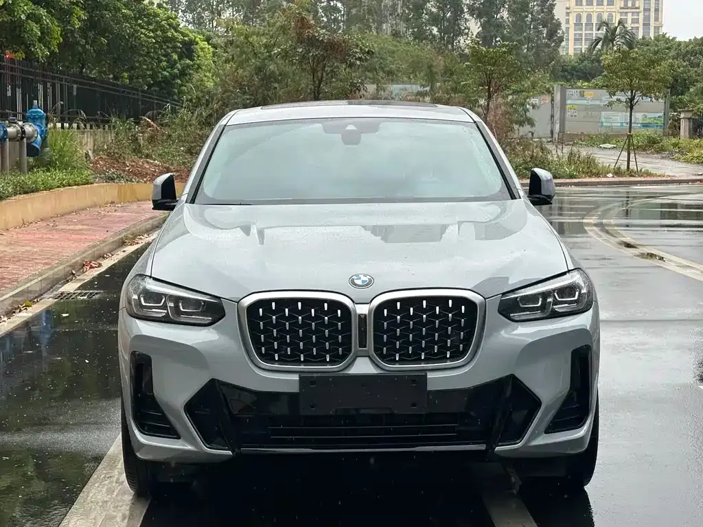 BMW X4 2023 из CN, фото 10