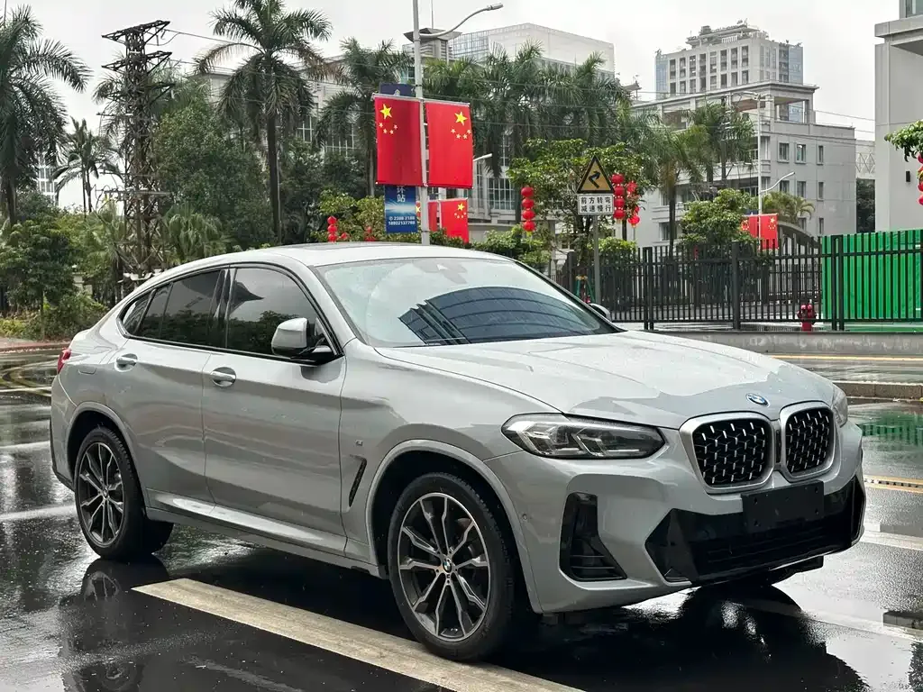 BMW X4 2023 из CN, фото 2