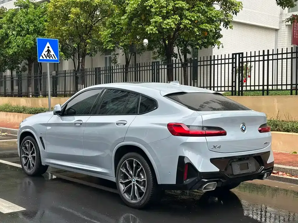 BMW X4 2023 из CN, фото 6
