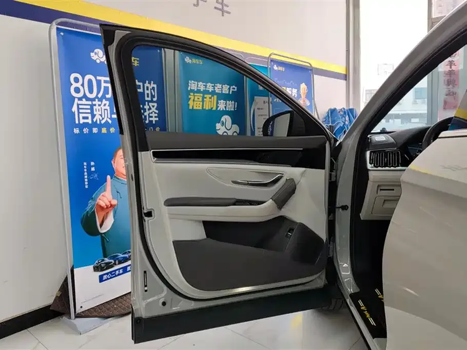 BYD PLUS New Energy — фото 8
