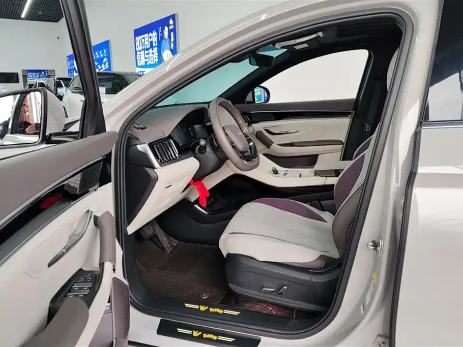 BYD PLUS New Energy — фото 7
