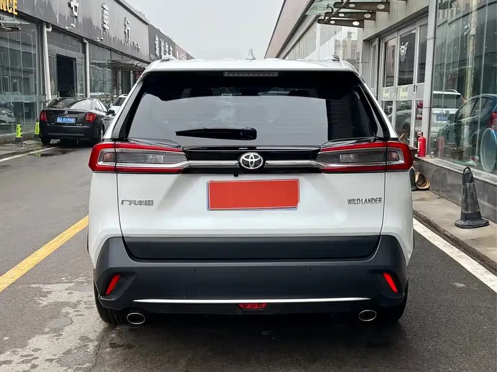 Toyota Wildlander 2024 из CN, фото 10