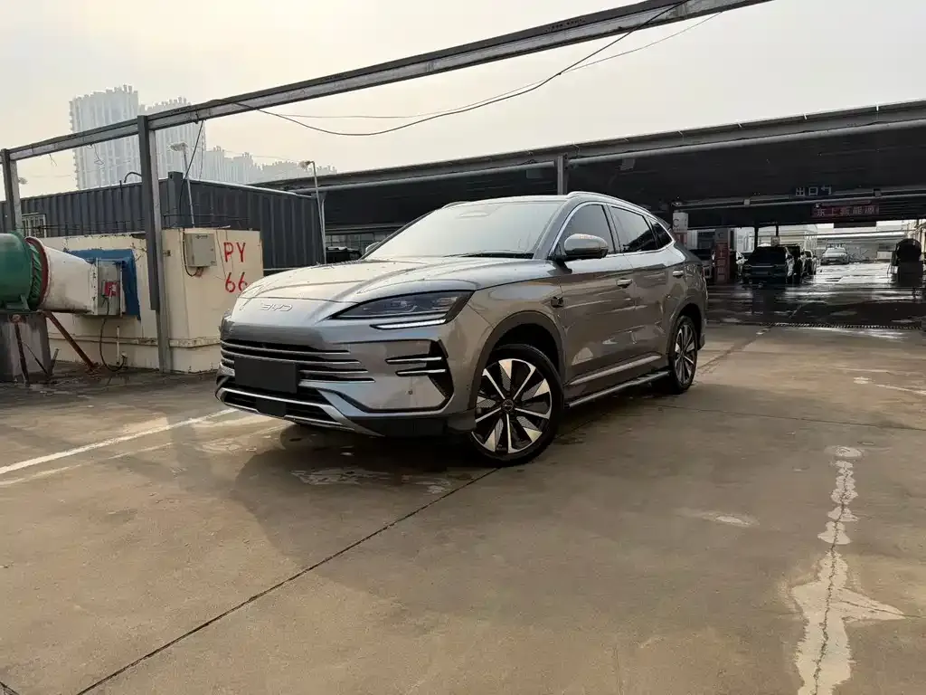 BYD PLUS New Energy 2025 из CN, фото 1