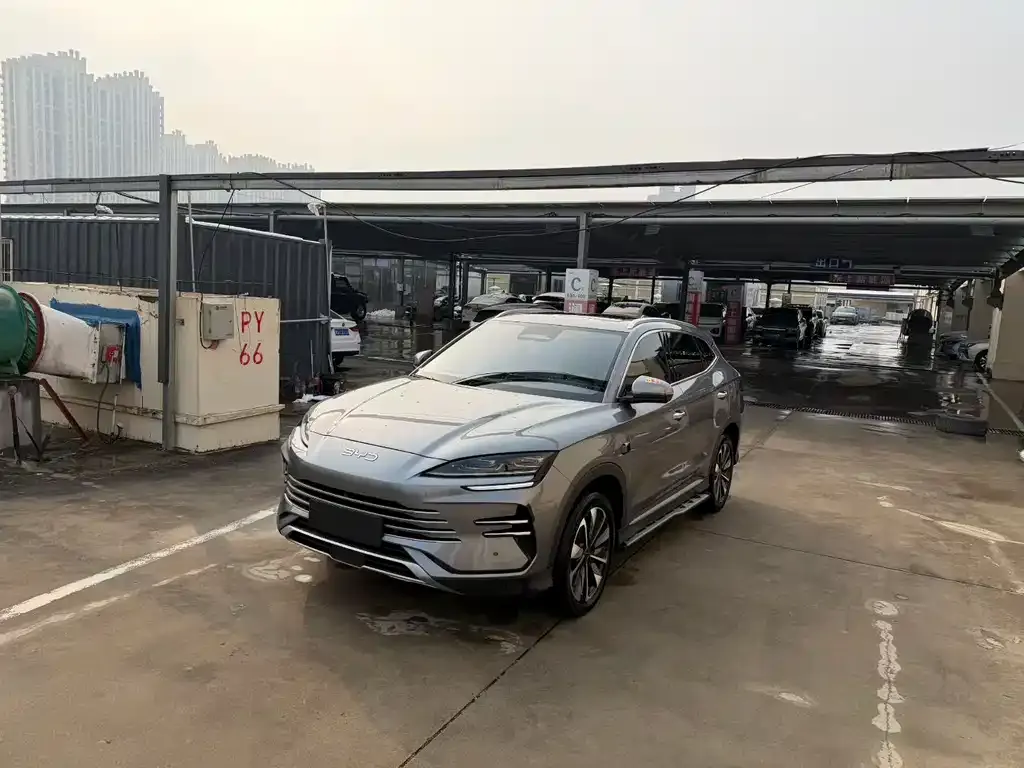 BYD PLUS New Energy 2025 из CN, фото 3