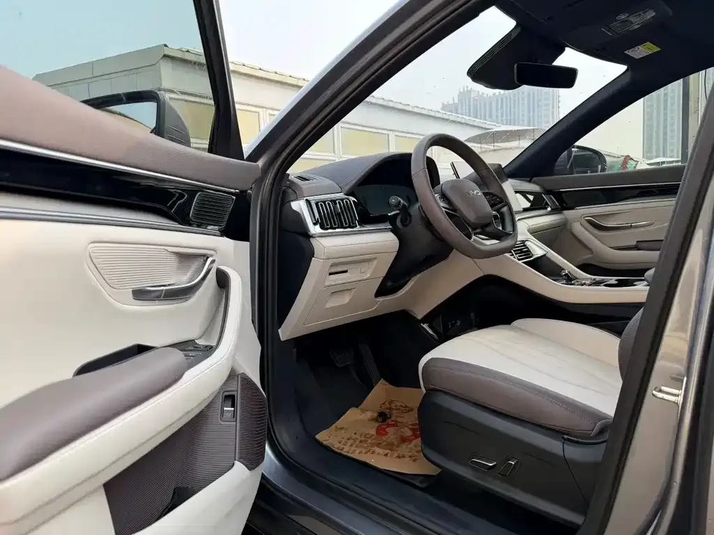 BYD PLUS New Energy 2025 из CN, фото 2