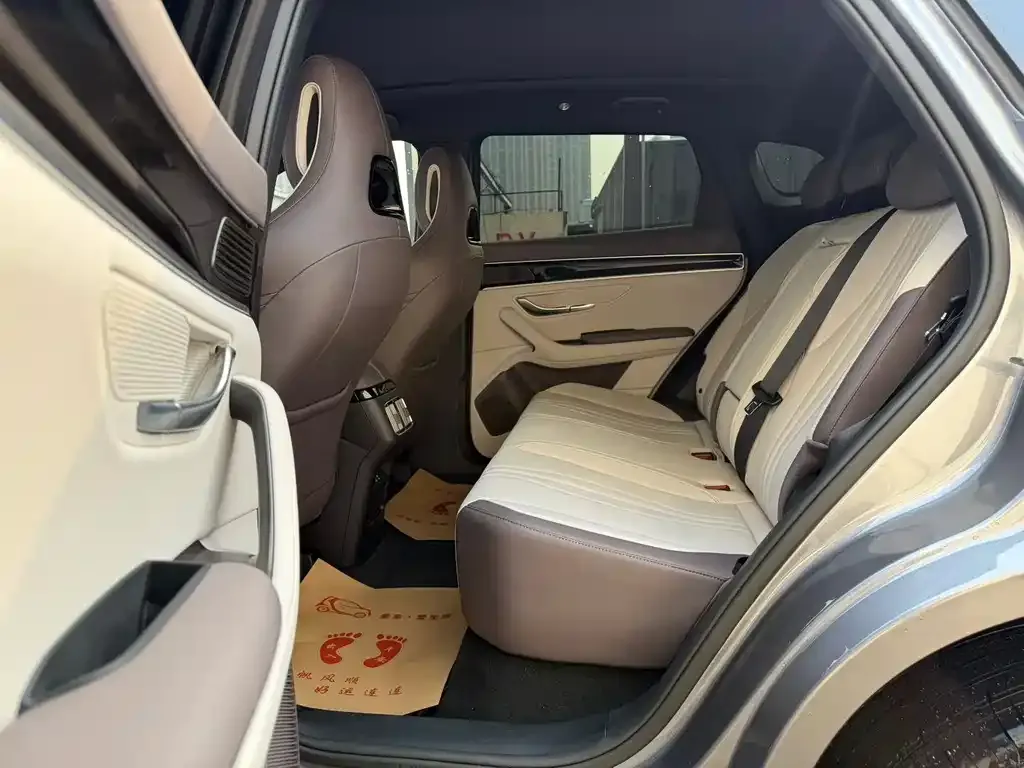 BYD PLUS New Energy 2025 из CN, фото 8
