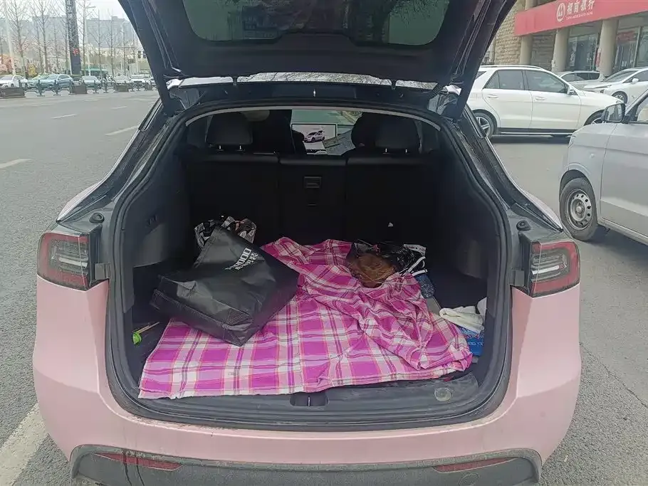 Tesla Model Y 2024 из CN, фото 6