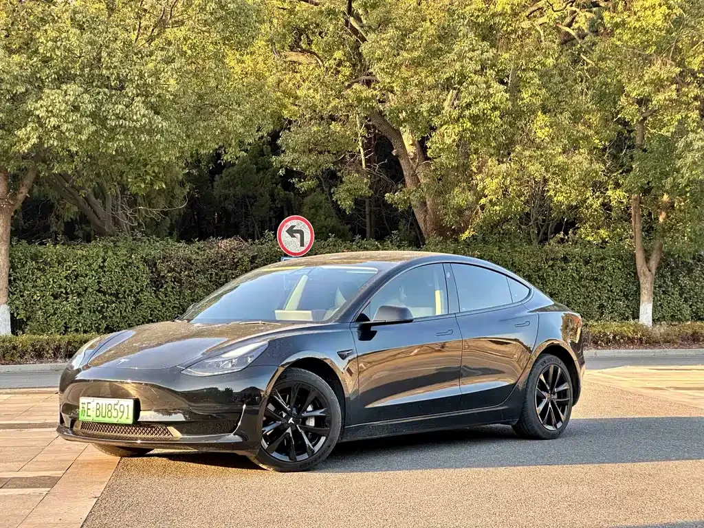 Tesla Model 3 2022 из CN, фото 1