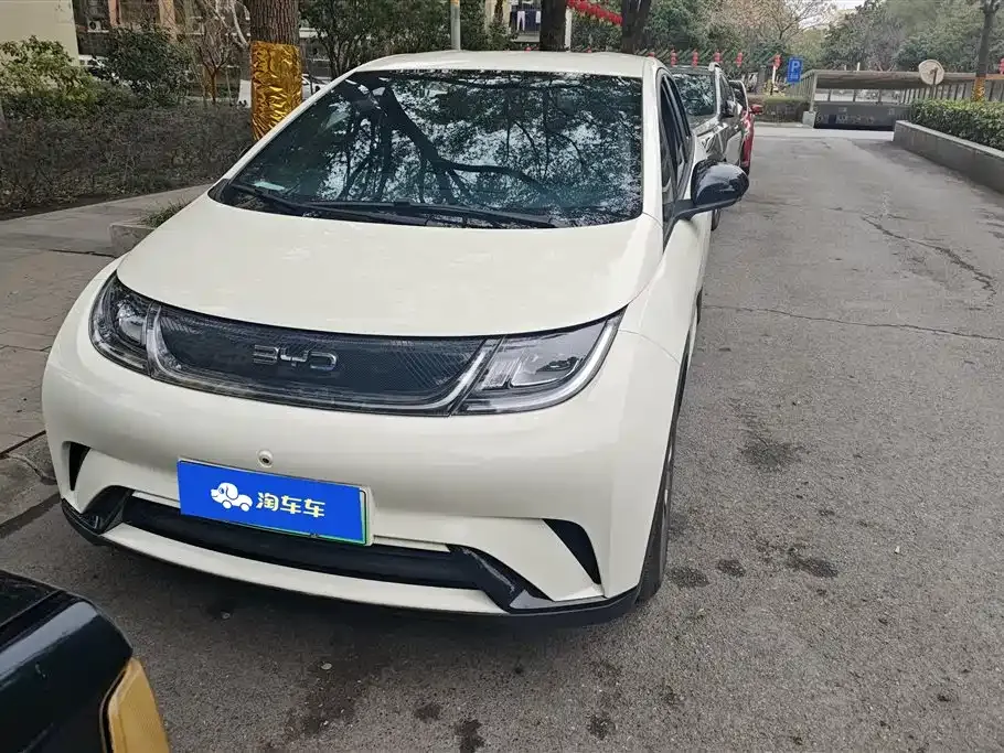 BYD Dolphin 2025 из CN, фото 9