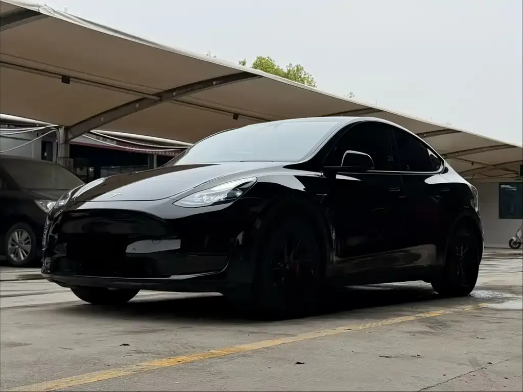 Tesla Model Y — фото 1