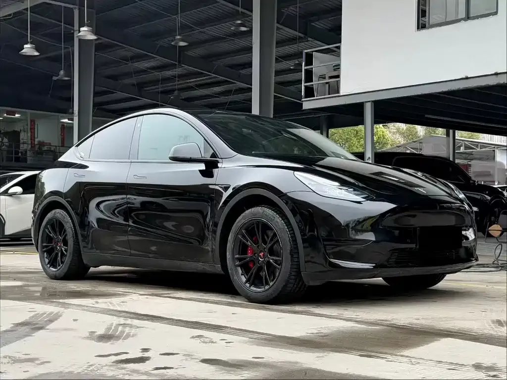 Tesla Model Y — фото 3