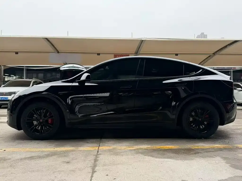 Tesla Model Y — фото 7