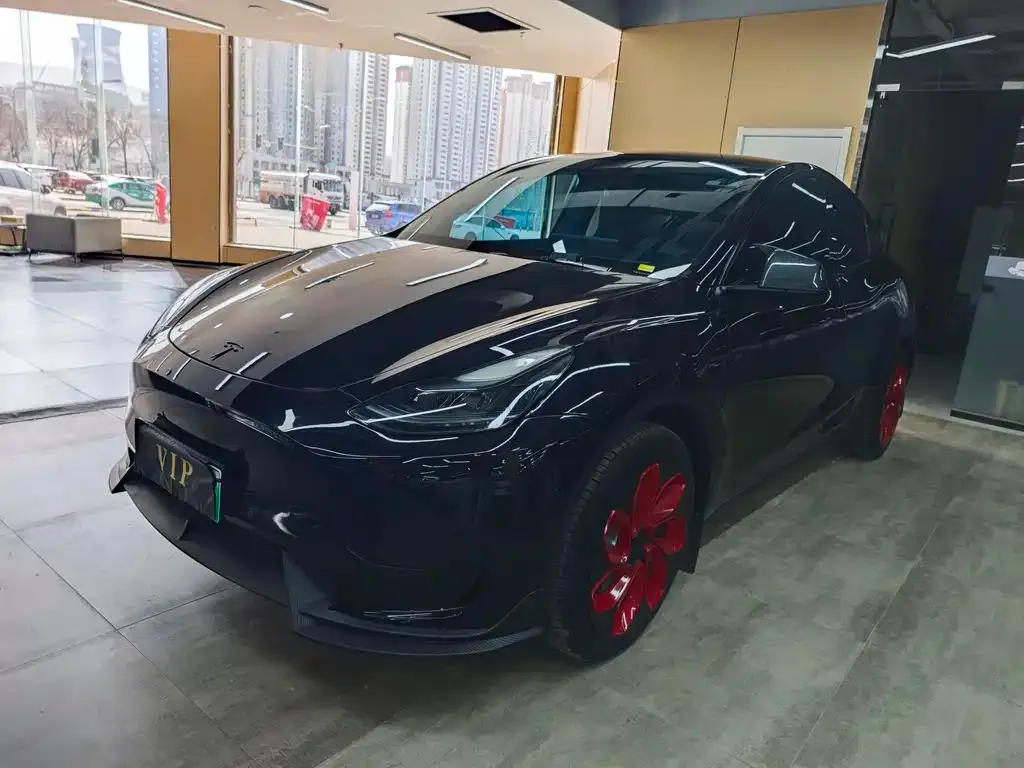 Tesla Model Y — фото 1