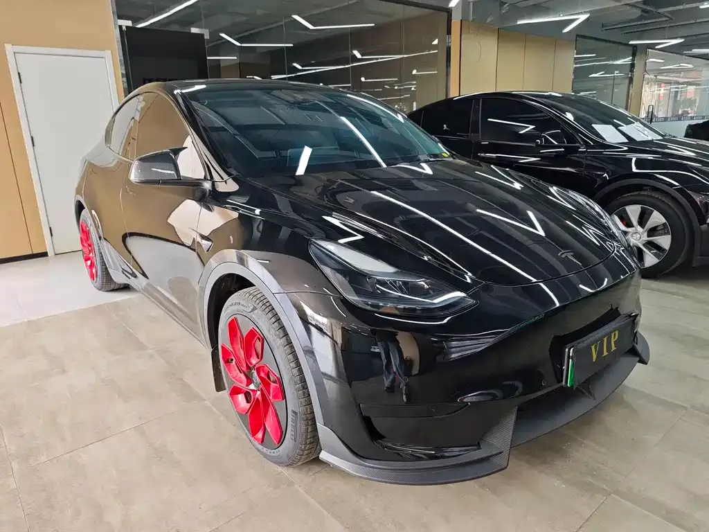 Tesla Model Y — фото 10