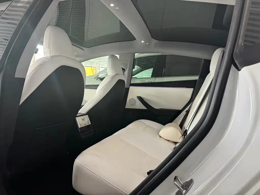 Tesla Model 3 2024 из CN, фото 7