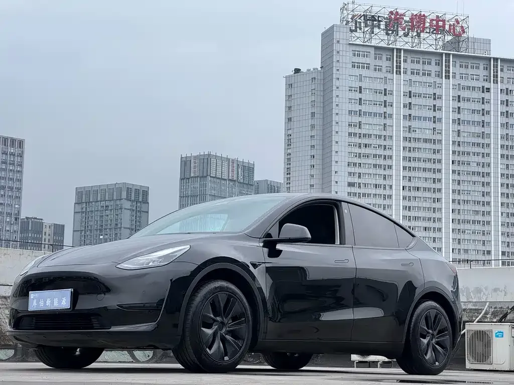Tesla Model Y — фото 1